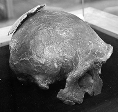 El fragmento craneal sobre un cráneo en escayola